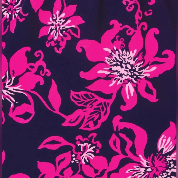 NWT Lilly Pulitzer MIRIANA Dress Low Tide Navy Lil Just Passion Through Large - Picture 6 of 8